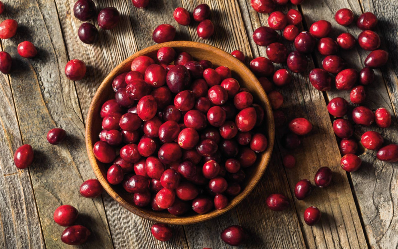 stephanus-blog-barentraube-1600x1000