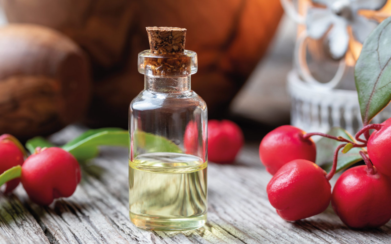 stephanus-blog-wintergruen-1600x1000